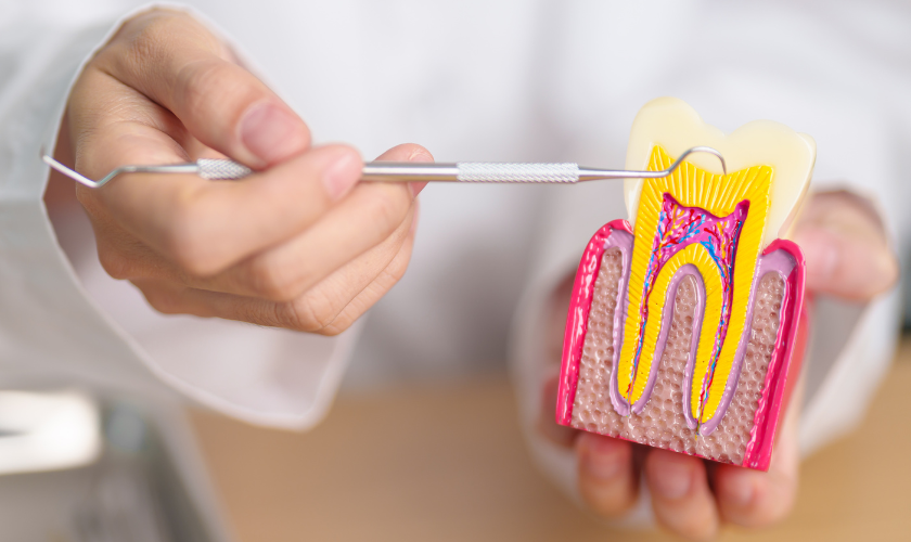 Conquering Your Root Canal - A Guide to Speedy Recovery